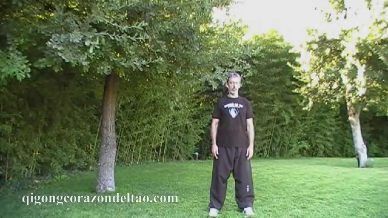 Qigong Corazón del Tao (Ciclo de los Pulmones)