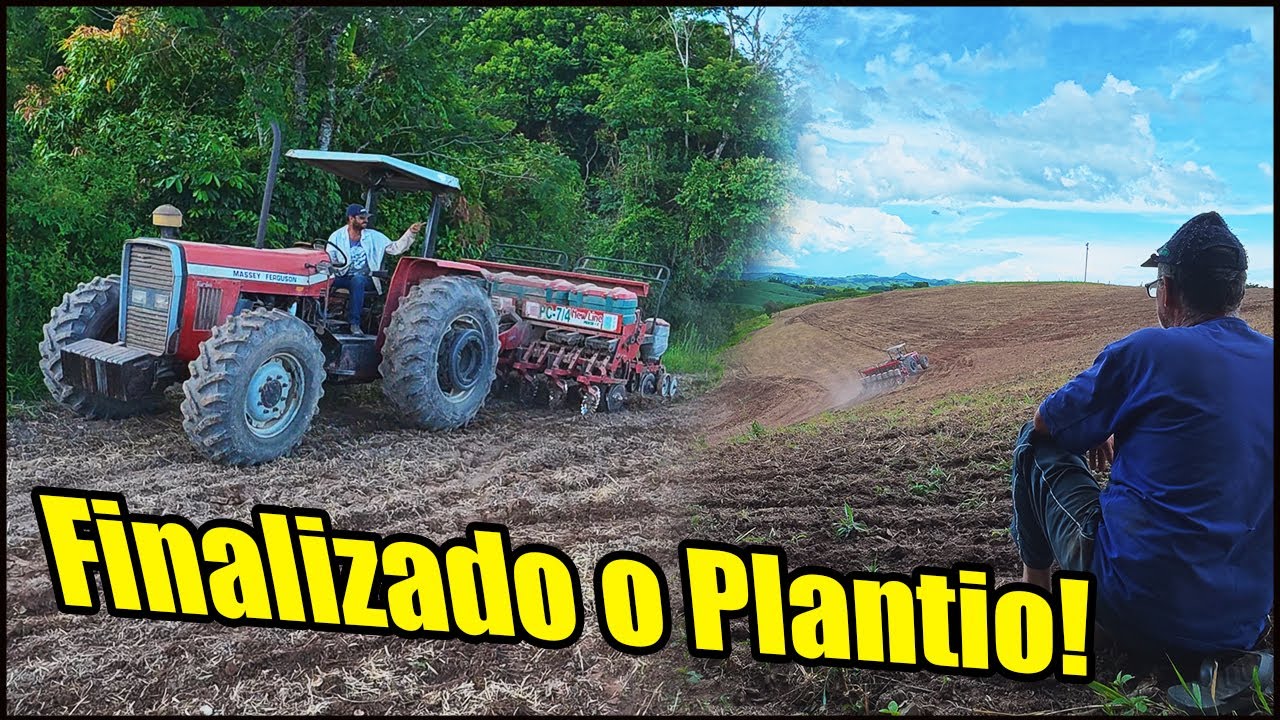 SOLTEI O MASSEY FERGUSON 95X NA RIBANCEIRA E NAO LIGOU! FINALIZAMOS O PLANTIO!