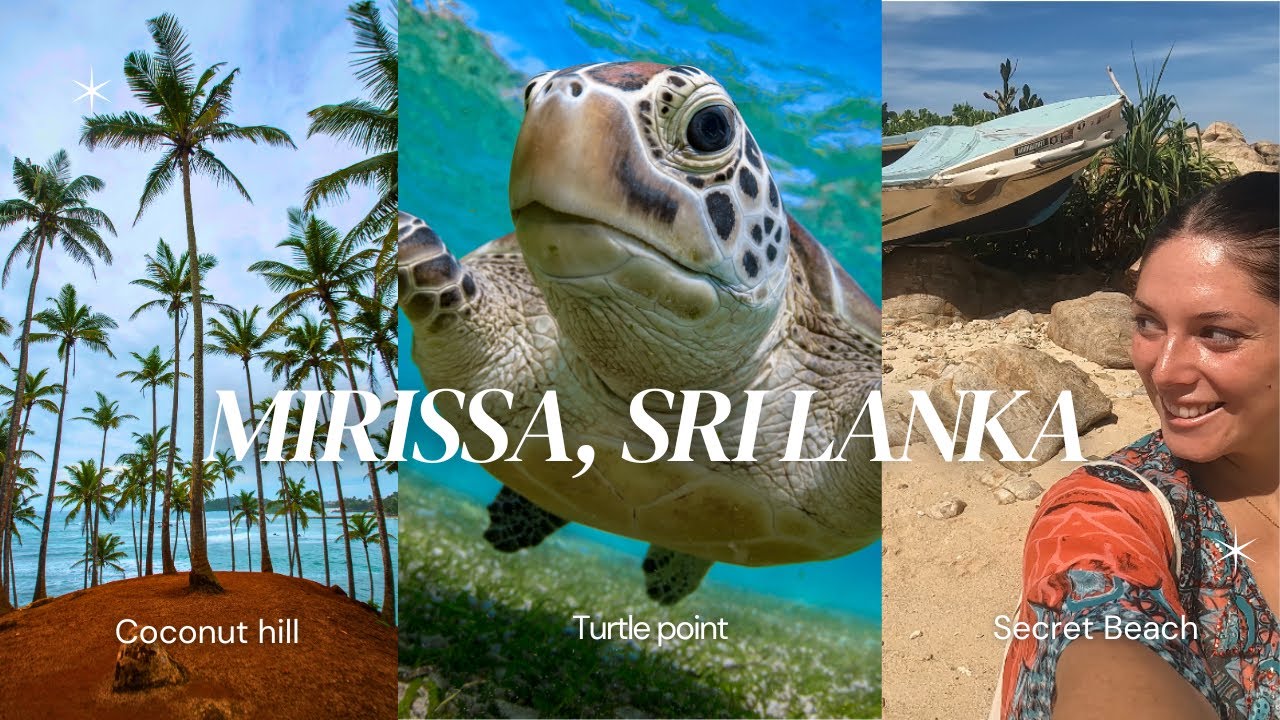 We found the BEST BEACH in Sri Lanka 🇱🇰 | How to Spend 24 Hours in Mirissa, Sri Lanka 🌴