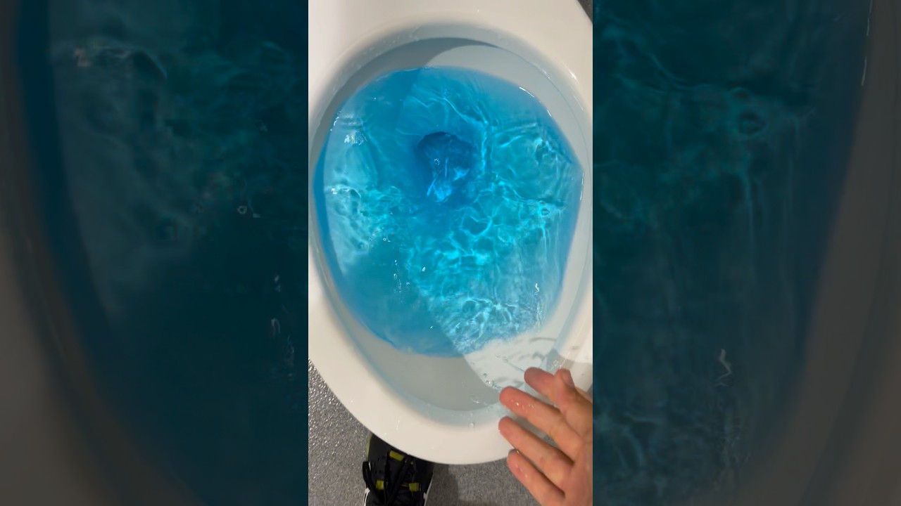 American standard pa cadet toilet siphoning out with blue water!!!