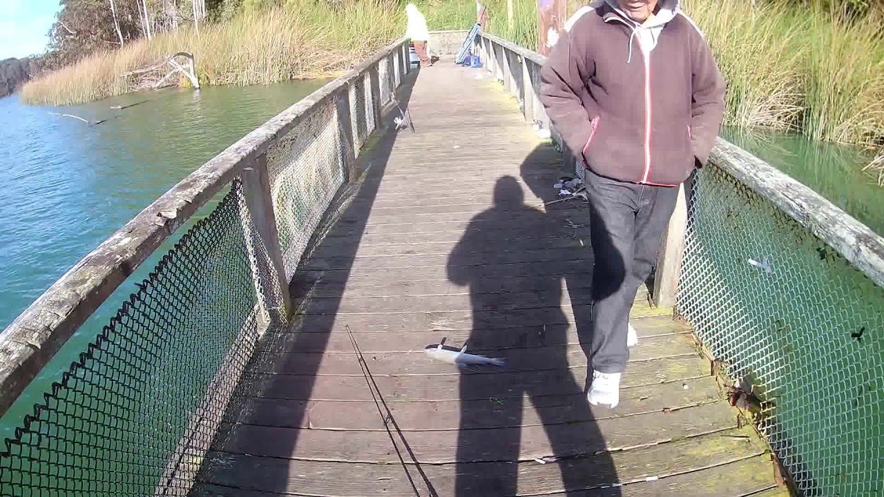Reeling Trout at Lake Merced - 1/13/2019