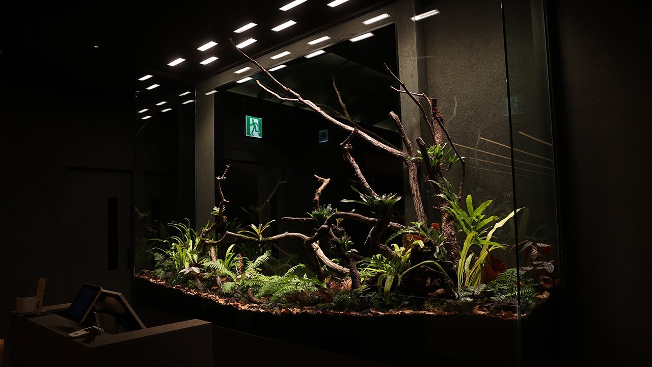 A 3-meter-long terrarium installed at the store front! 매장 프론트에 3미터 테라리움을 만들었습니다!