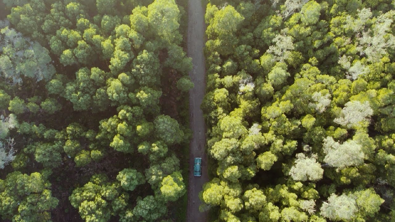 Fitacola - Monstros ft. Tiago Nogueira