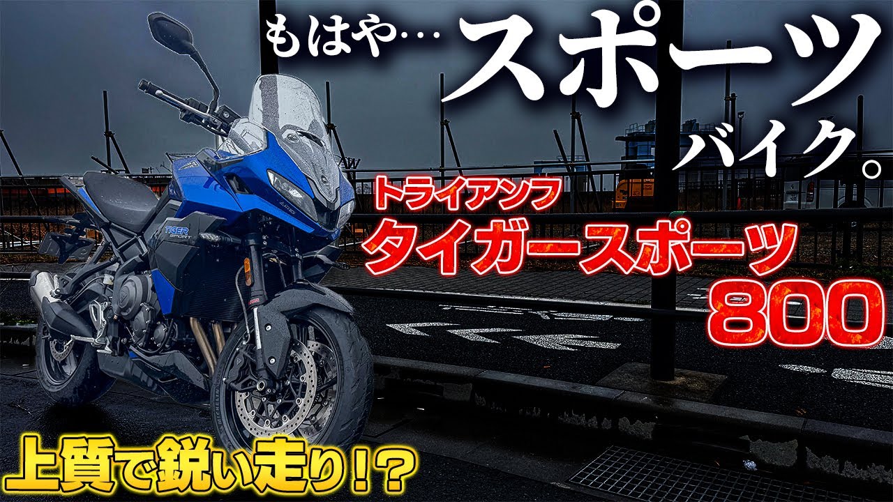 新型タイガースポーツ800はスポーティで楽しいツアラーバイクだった件！｜Triumph Tiger Sport 800（'25）【モトブログ】