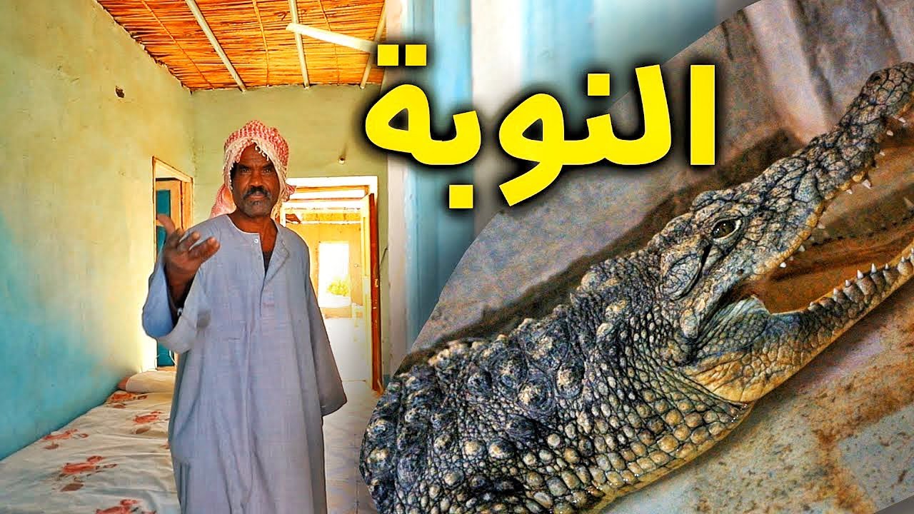 Aswan | حضارة النوبة شعب مميز وتماسيح في البيوت