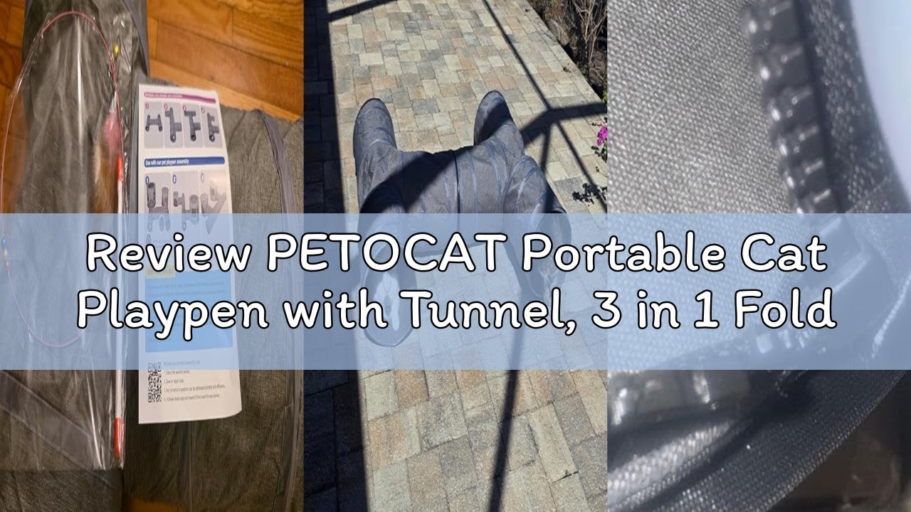 Review PETOCAT Portable Cat Playpen with Tunnel, 3 in 1 Foldable Puppy Play Pen, Waterproof Bottom,