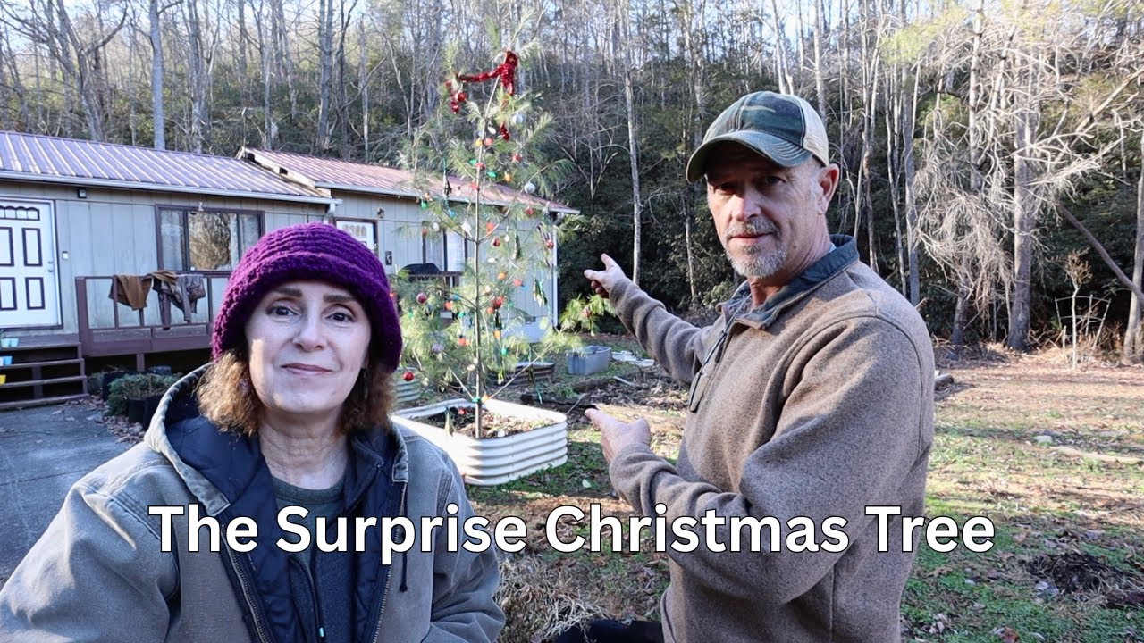Surprising our Daughter at Christmas in Appalachia (She LOVED the tree 😀)
