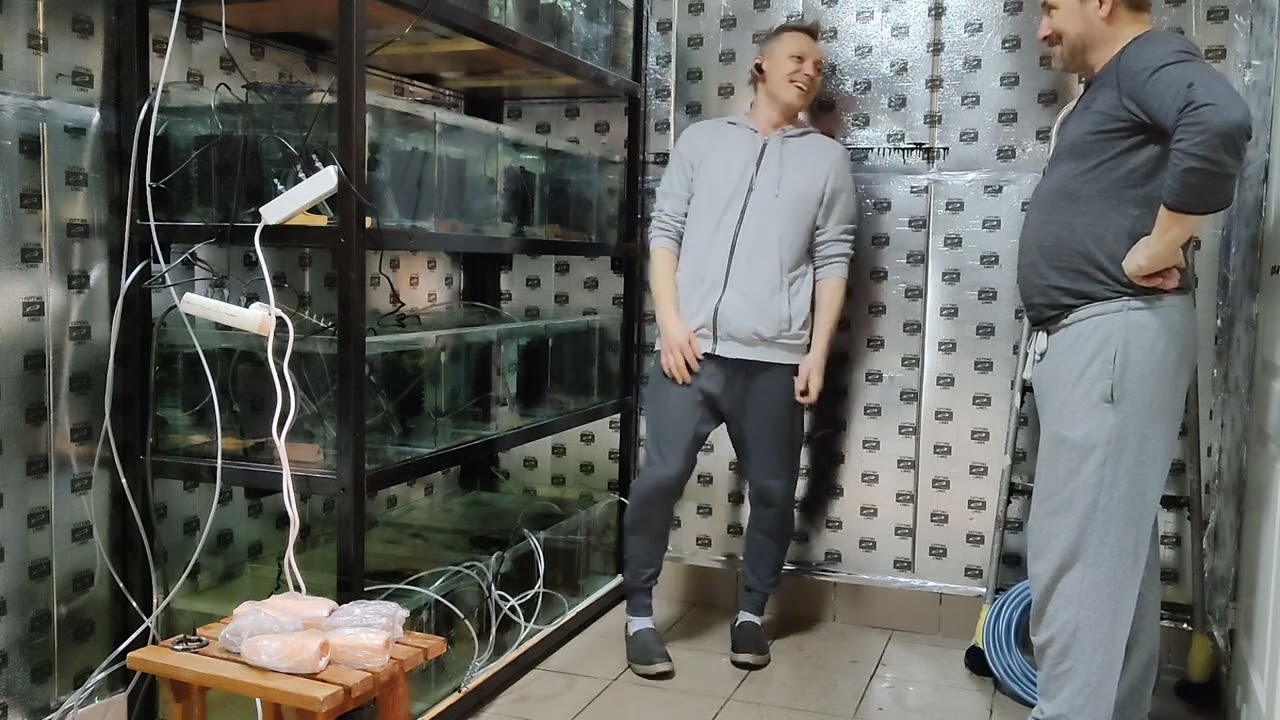 hodowla zbrojników. Puszczamy pierwsze ryby