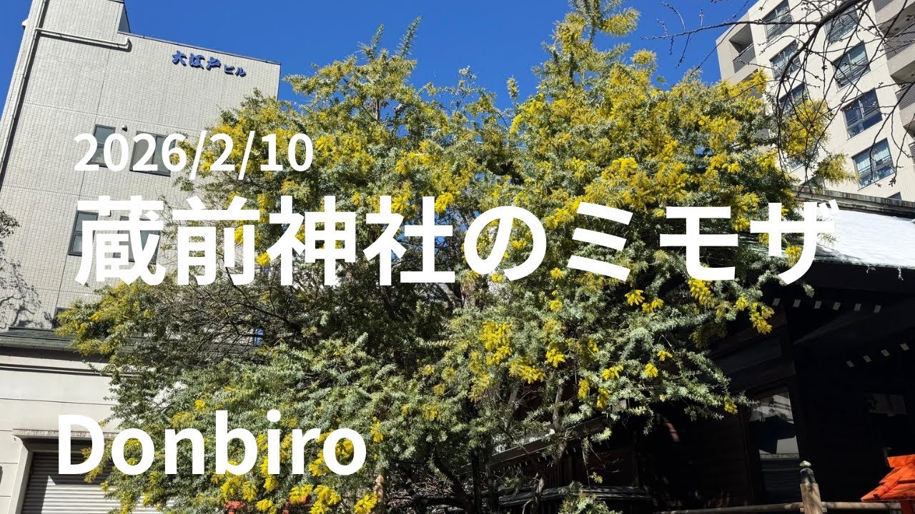 2026年2月10日、東京都台東区にある蔵前神社の様子です⛩️