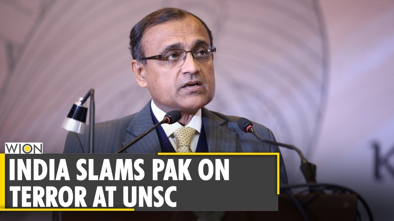 India at UN Security Council: Pakistan provides safe heaven to Al-Qaeda | South Asia English News