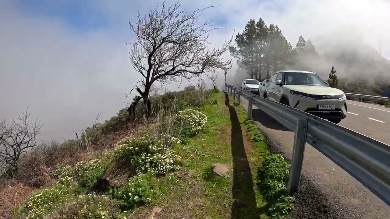 Ruta de Senderismo por Gran Canaria 🥾 | Paisajes Naturales Increíbles