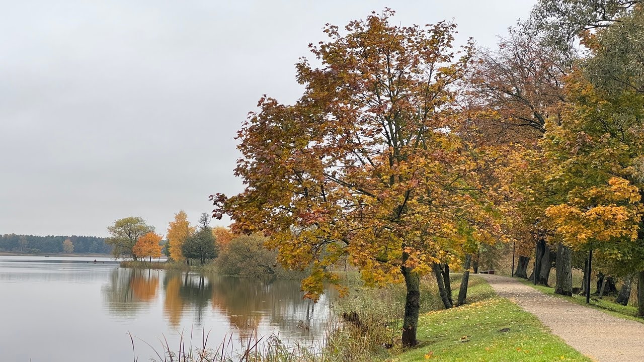 A Coffee Break | The Winds of Autumn in Biržai, Lithuania