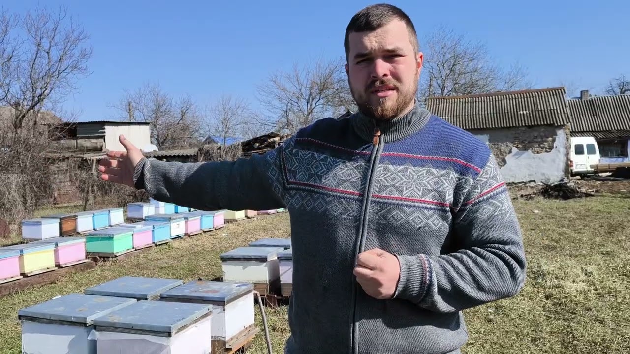 Конец зимы! Смотрим на очистительный облёт🐝🐝🐝