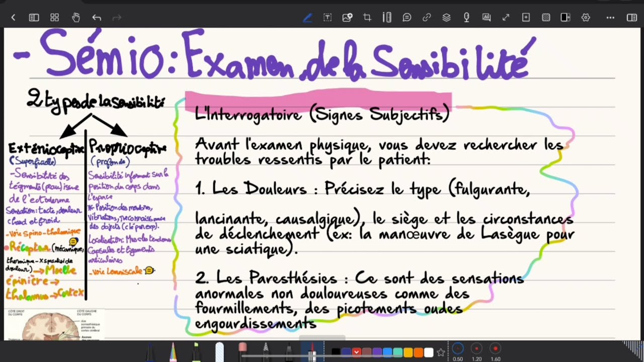 Sémiologie | Examen de la sensibilité | unité Neuro| 3 éme année médecine 🤩