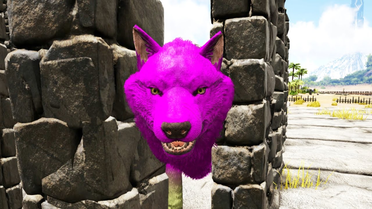 ARK PRIMITIVO#77 - Taming DUPLO de Dois LOBOS Incríveis!