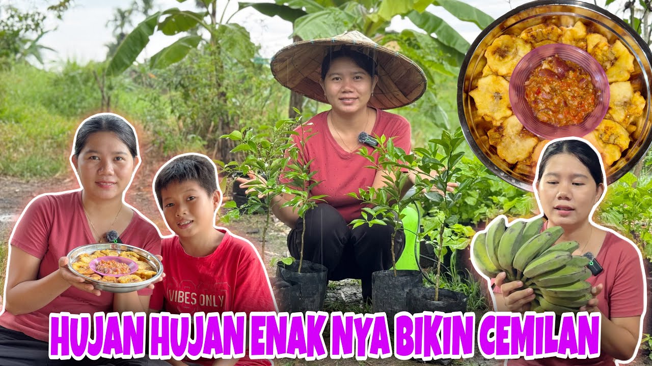 PISANG GORENG GEPREK COCOL SAMBAL TERASI, LANJUT TANAM JERUK YANG DI TUNGGU-TUNGGU