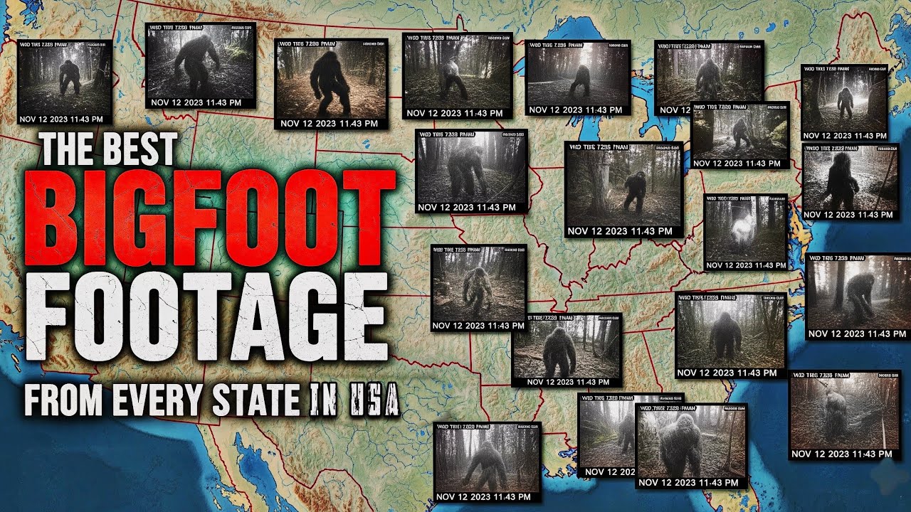 The Best Bigfoot Footage from Every State in America (ep. 1)