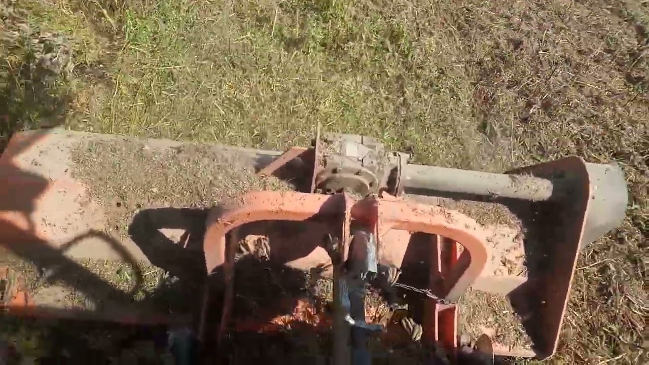 Mulčovač Dabaki a svazenka vratičolistá.