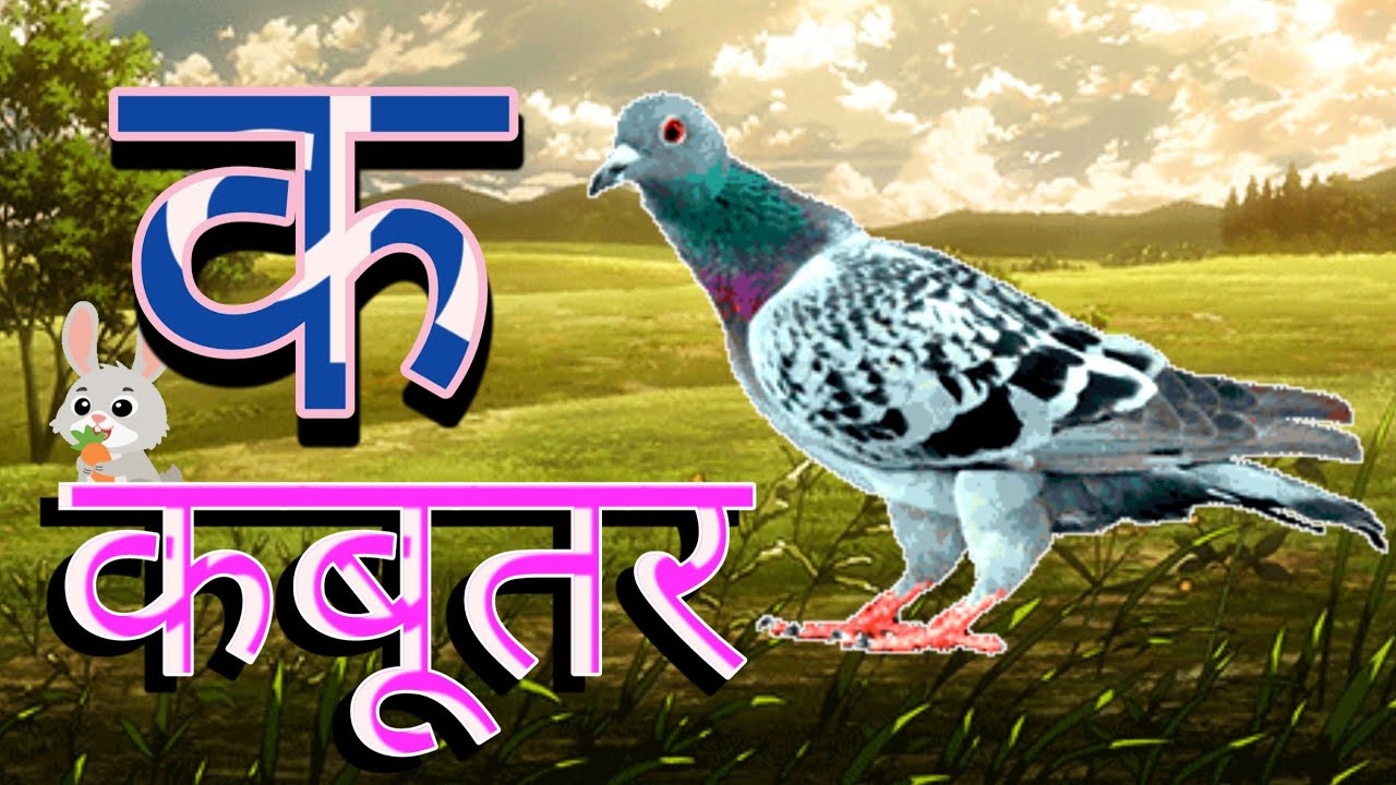 क से कबूतर, अ से अनार a se anaar k se kabutar I Hindi varnmala I ABCD क से कबूतर अ से अनर, for kids