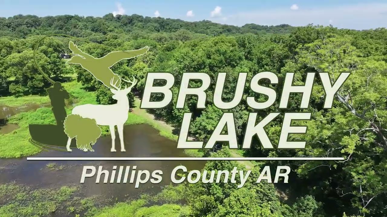 Brushy Lake