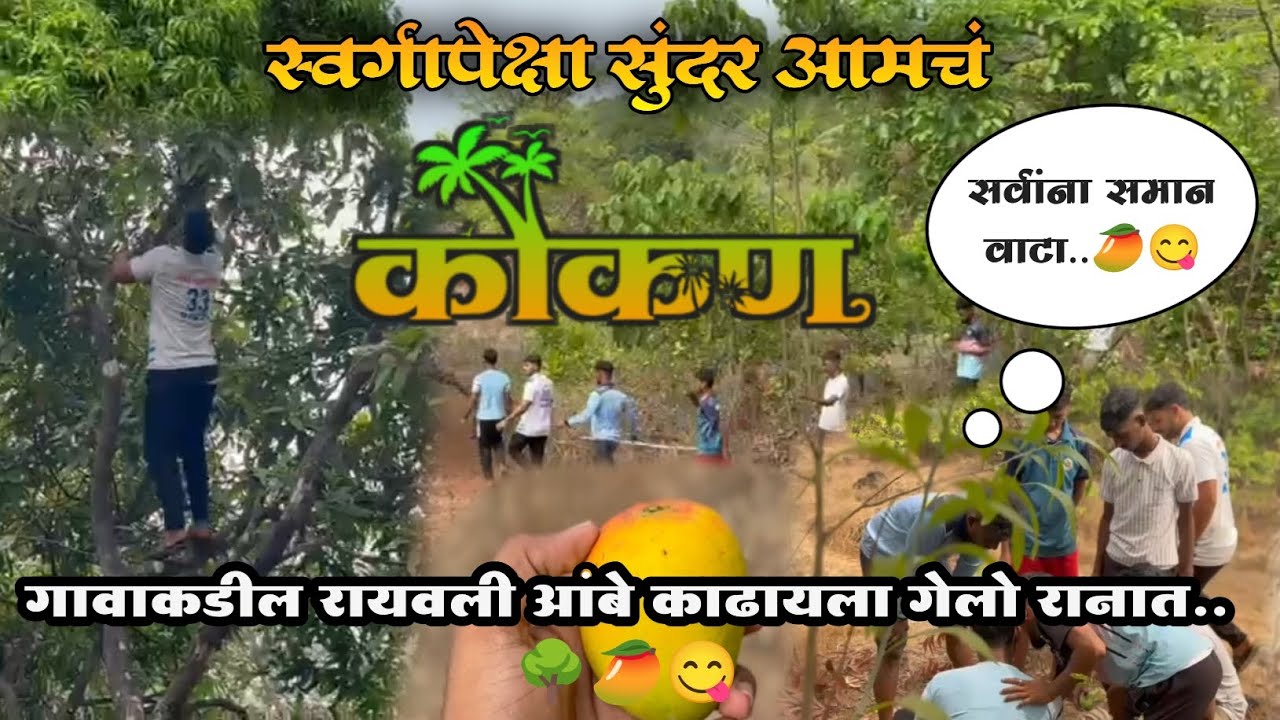 || रानात गेलो रायवळी आंबे काढायला 🥭🌳 || गावाकडच्या गोष्टी 🥰💯 ||