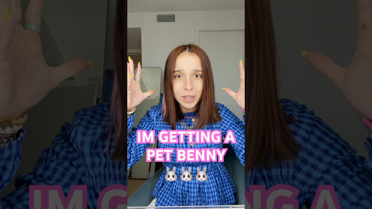 bunny loading&hellip;. 😇🙌🏼🐰 #bunny #bunnyowner #asmr #bunnies #petbunny #lisi #lisishops #relatable