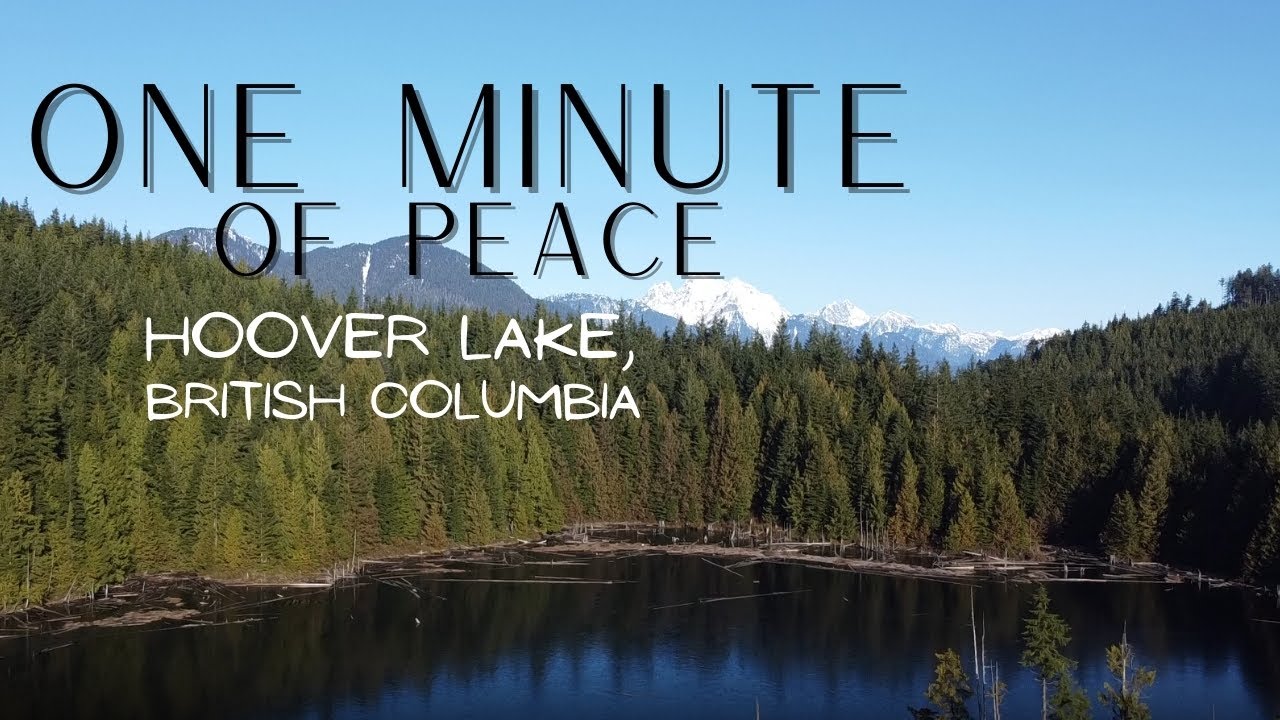 One Minute of Peace - Hoover Lake, British Columbia - Tranquility for Relaxing, Forest Bathing