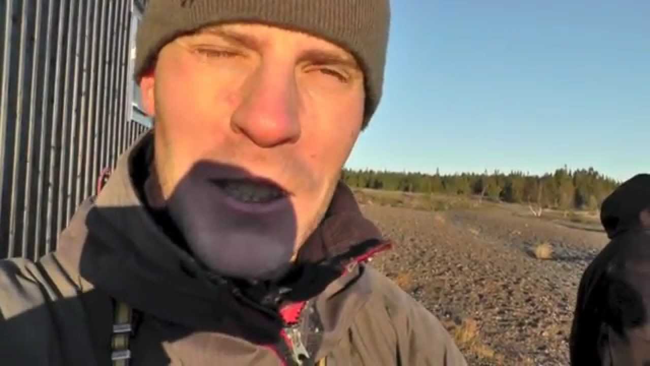 Fågelskådning på Bjuröklubb, nov 2012