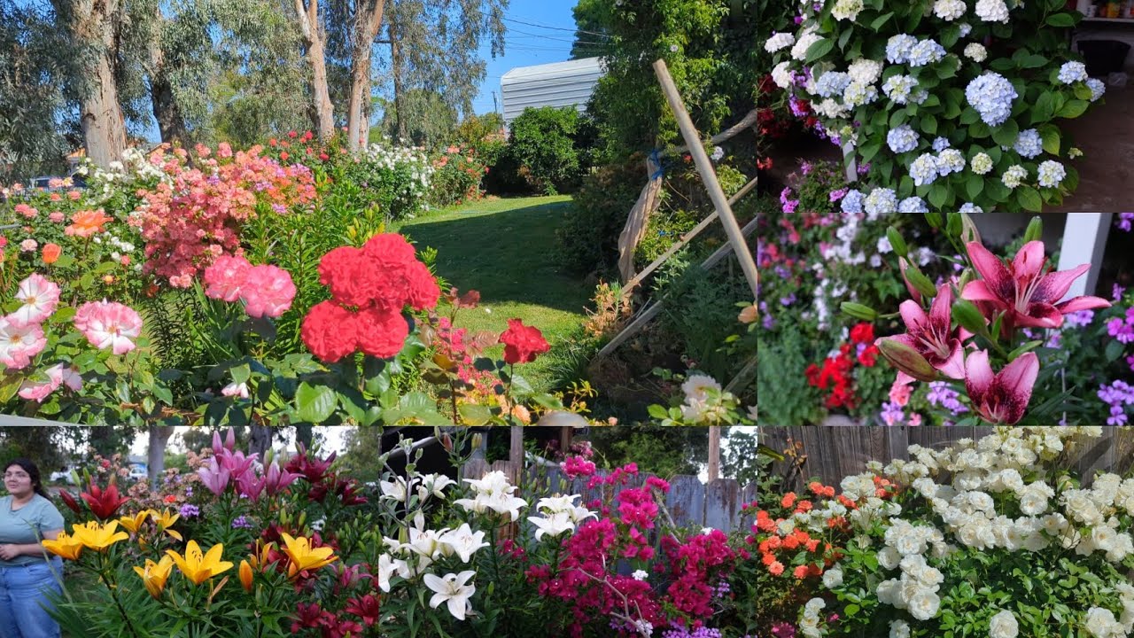 Elparaiso de las flores el jardin de mimama