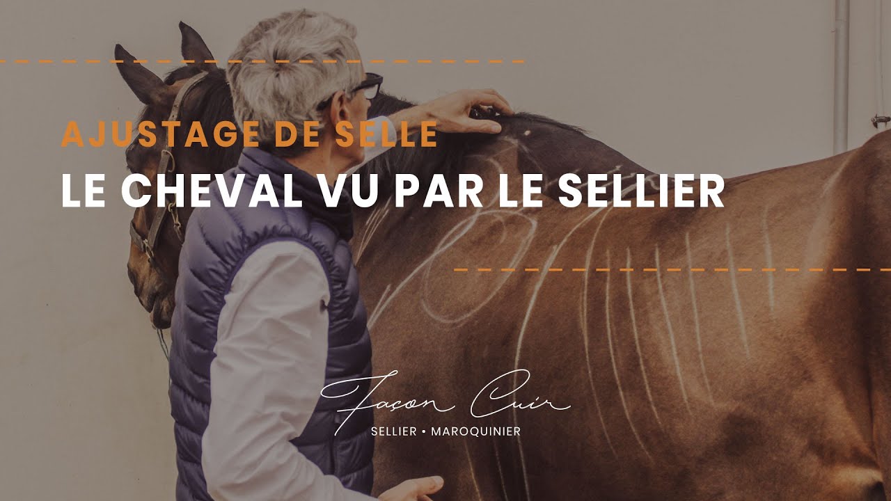 Le cheval vu par le Sellier: analyse des 5 points de la morphologie du cheval