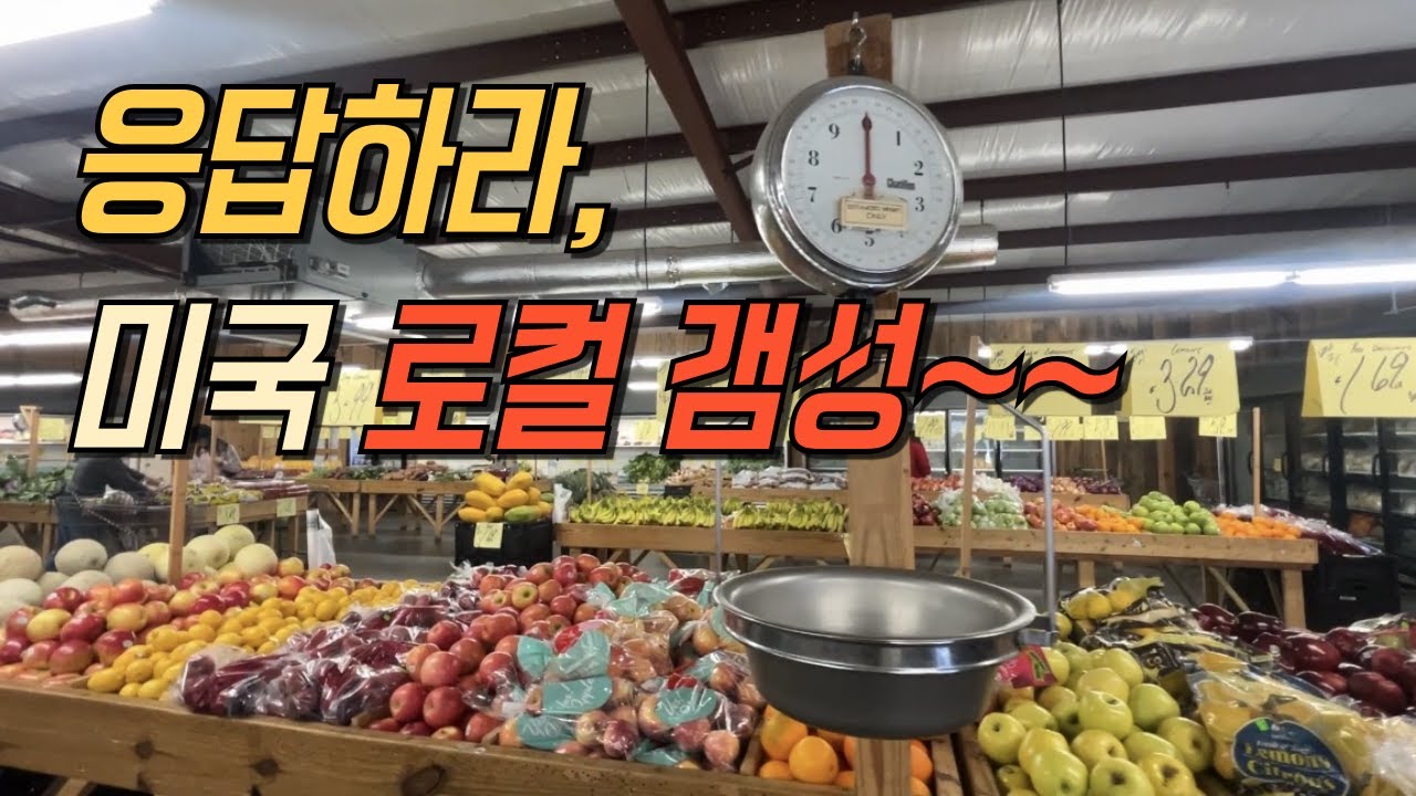 미국일상 v-log | 레트로 감성 가득한 미국 로컬 마켓 장보기 | 어번 근처 레트로 감성 로컬 마켓｜파크웨이 파머스 마켓