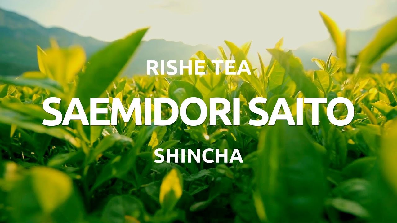 SHINCHA SAEMIDORI SAITO