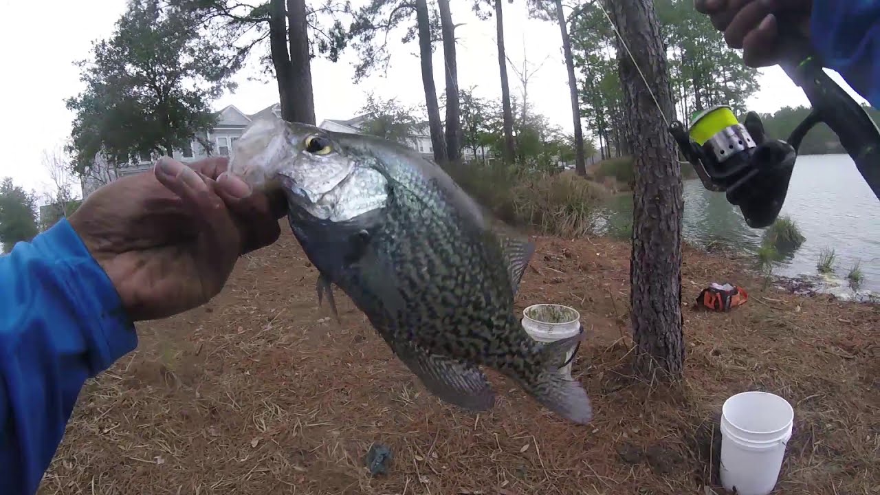 Fishing with Friends for Crappie!!!