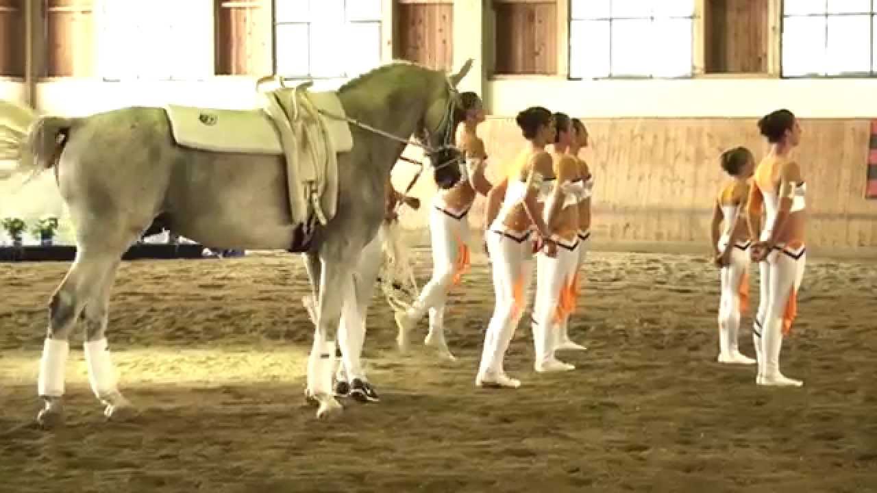 Bayerische Meisterschaften 2015 - Gut Waffenschmiede I (Kür 2)