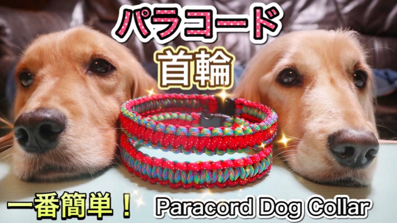 パラコードで一番簡単な犬用 首輪の編み方！平編み(コブラ編み) Paracord Cobra Wave Dog Collar