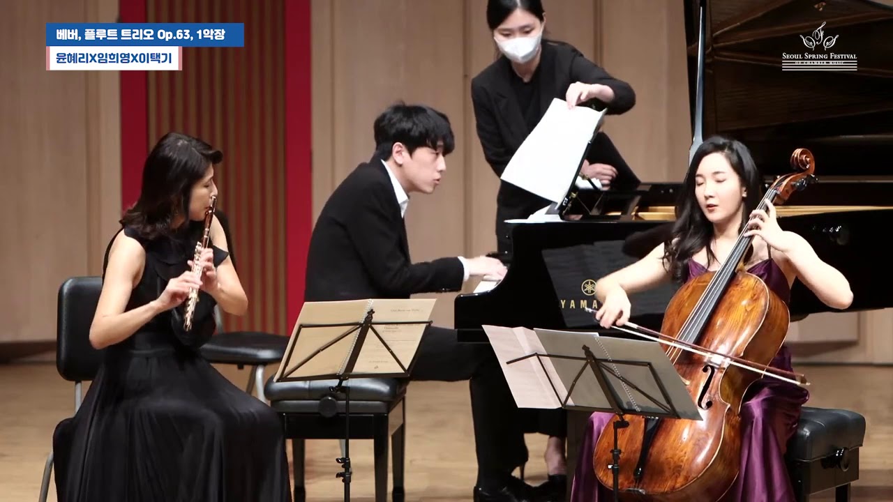 C. M. von Weber Trio for Flute, Cello and Piano in g minor, Op.63, 1st mov.