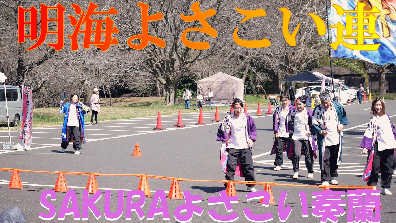 【4K24p】明海よさこい連「舞だ！」★SAKURAよさこい奏蘭/佐倉城址公園/第一部/2026.03.15/LumixS5Ⅱ