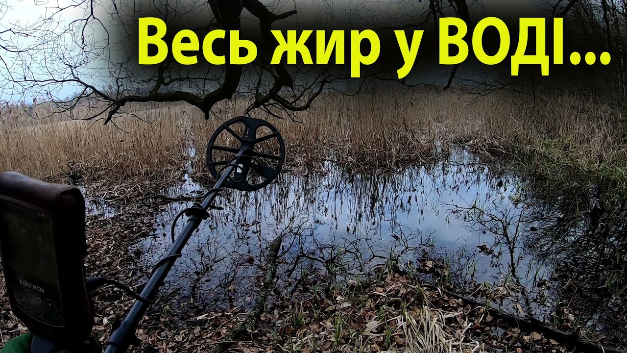 Коп в лісі.Такі знахідки ведуть завжди до ЗОЛОТА.Пошук з металошукачем minelab equinox в Україні.