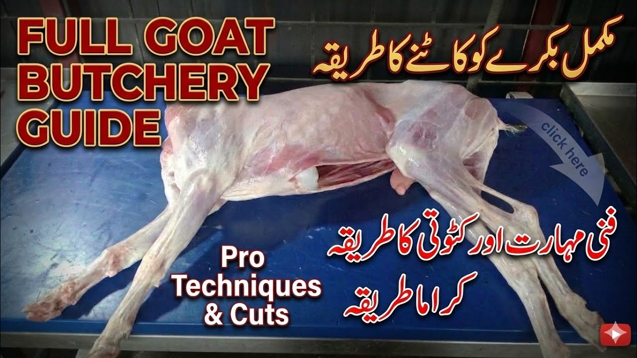 How to Motton legs cutting training videos || Motton legs cutting skills || ASMR meat cutting skills