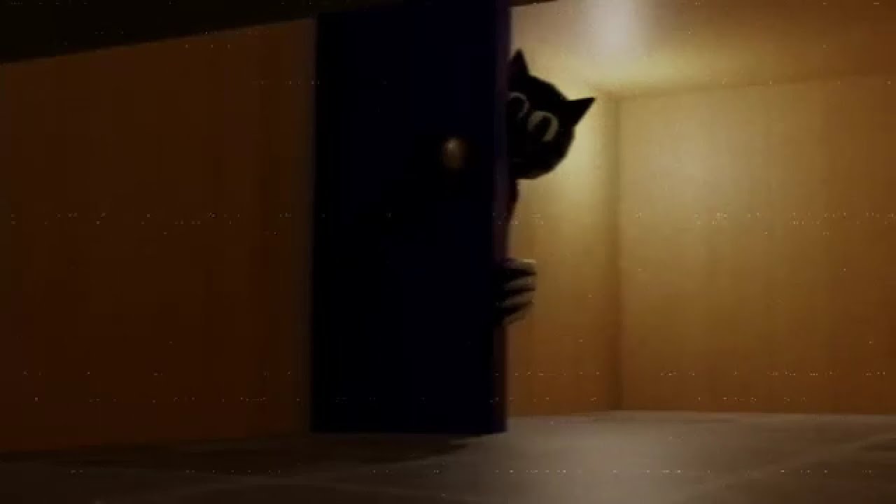Cartoon Cat VHS Found Footage
