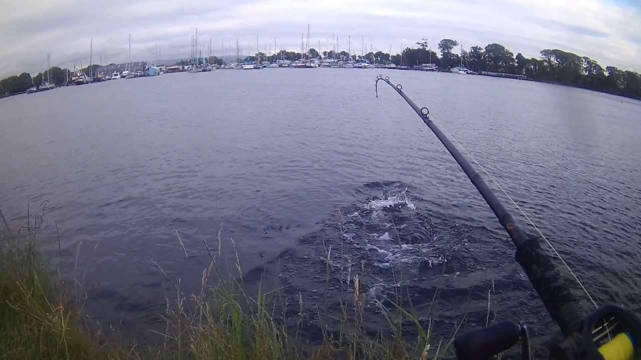 Jerk Bait Set Up For Pike