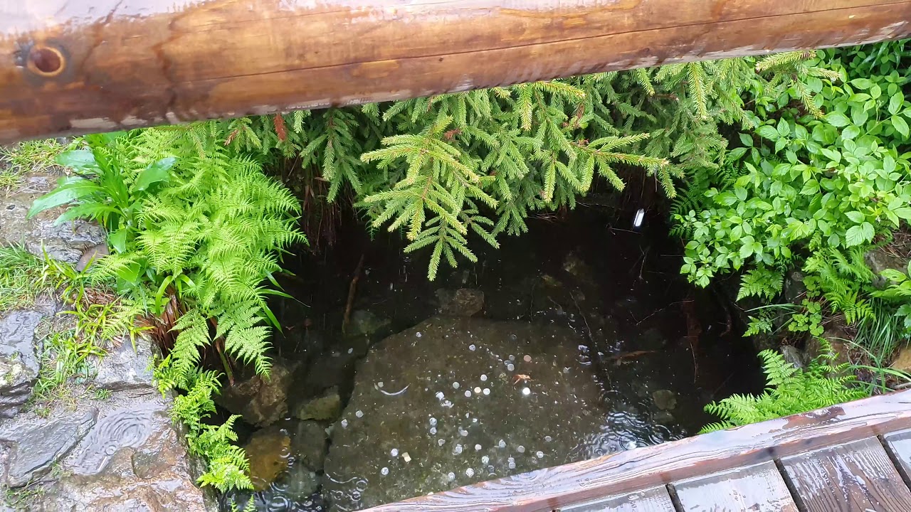Jesenice - Šumava - Etapa 4 (Prášily - Nová pec)