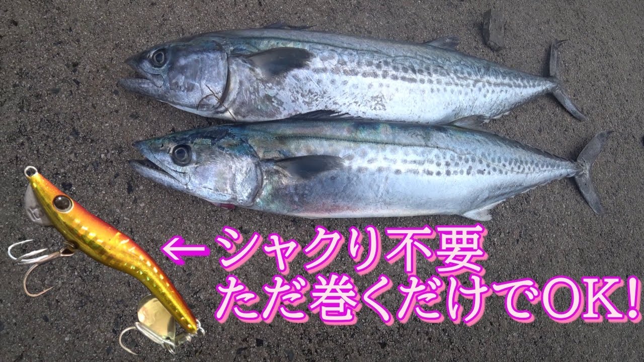 【語呂悪し】冬の堤防でライトショアメタルマルして来た。