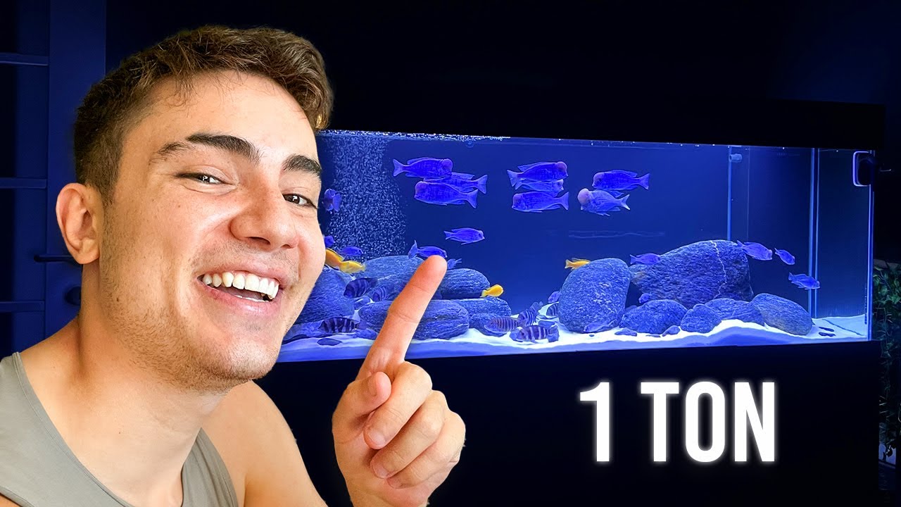 1 TONLUK DEV AKVARYUM YAPTIM! (100.000 TL)