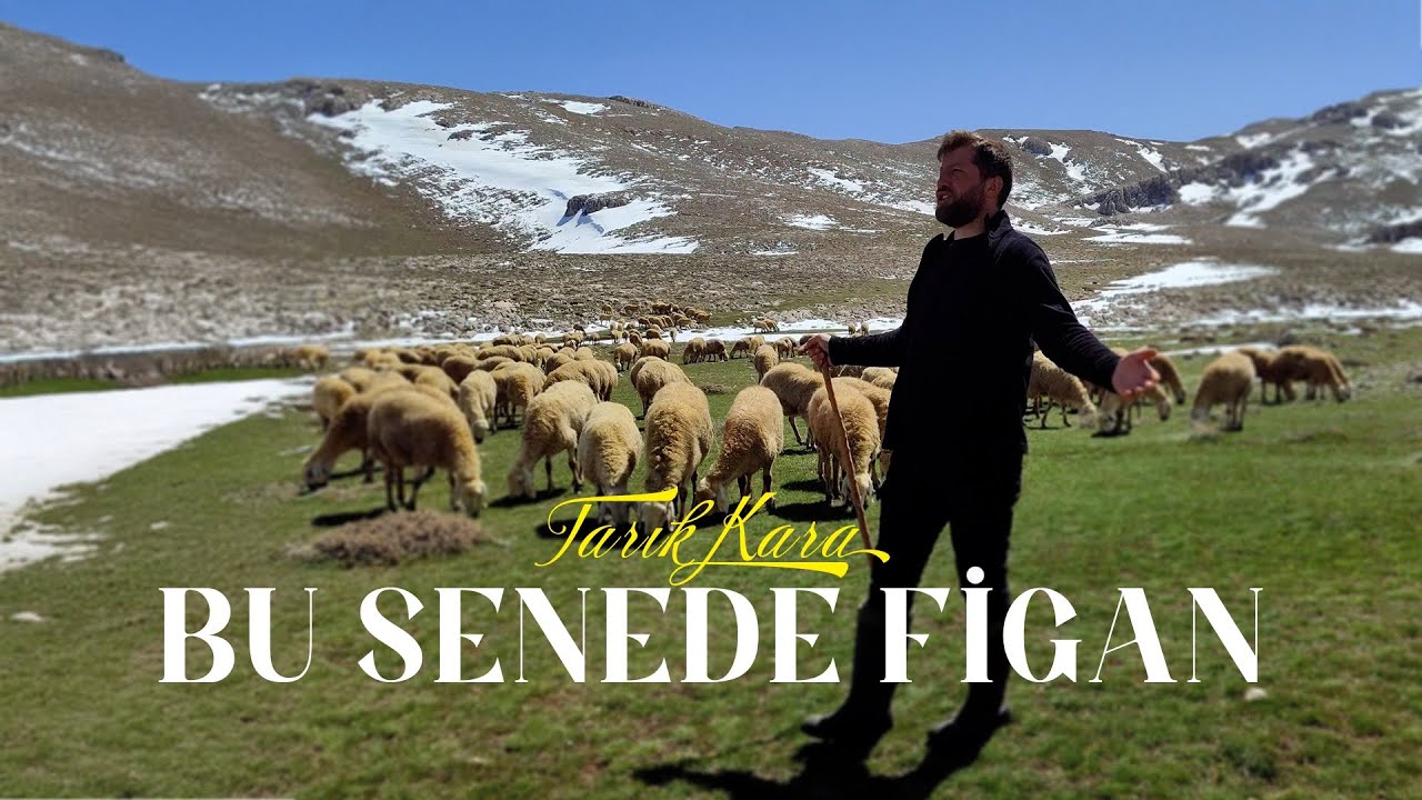Tarık Kara _ Bu Sene de Figan Düştü Dağlara ( BOZLAK )