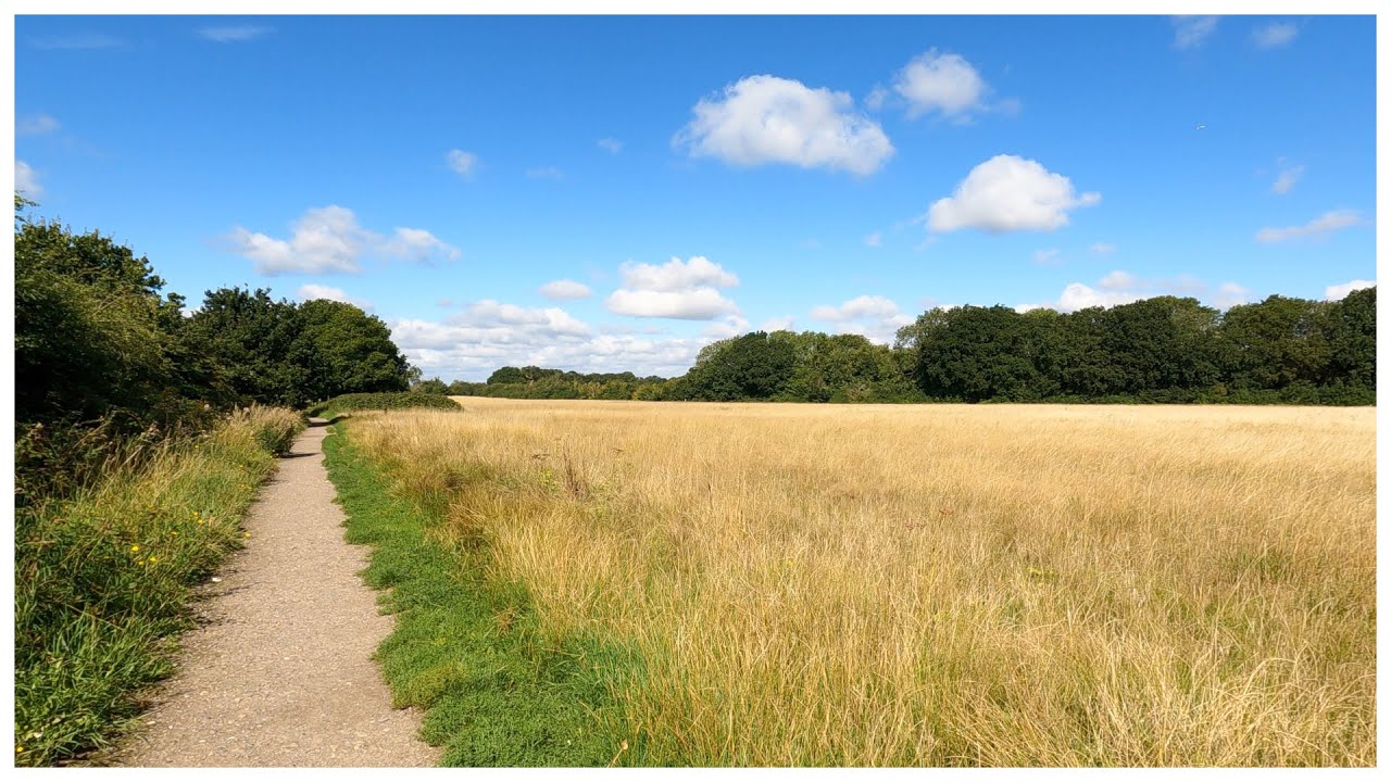Hamsey Green, South Croydon to Riddlesdown - a summer country walk
