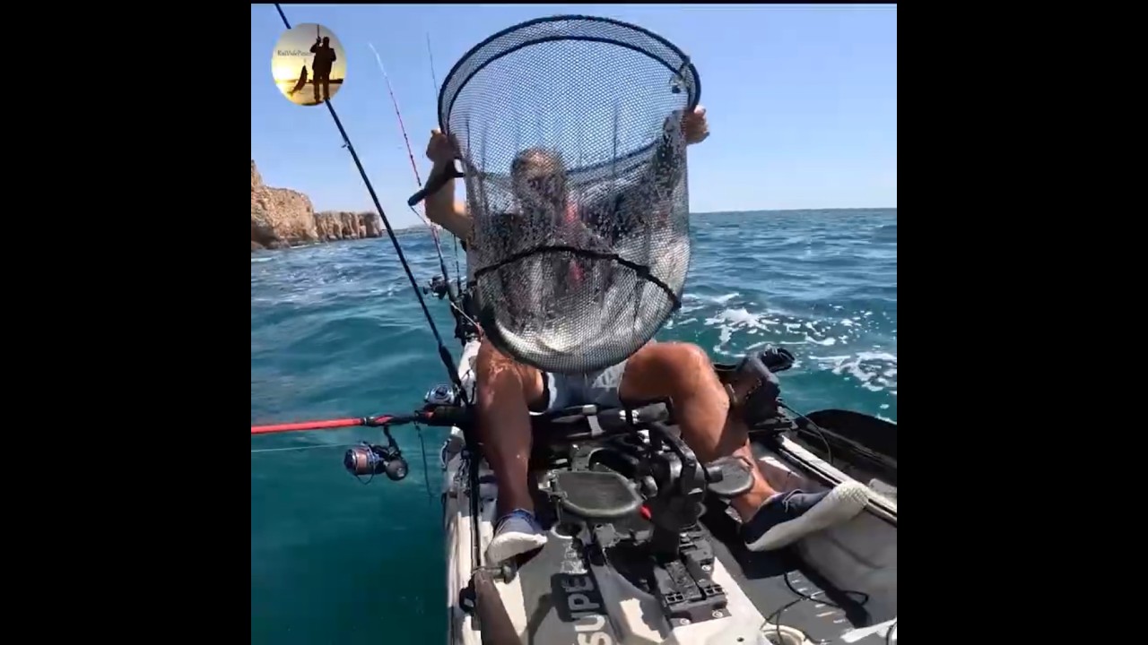 ROBALOS Seabass  Dupla captura #fishing #seabassfishing #algarvefishing #ruividepesca