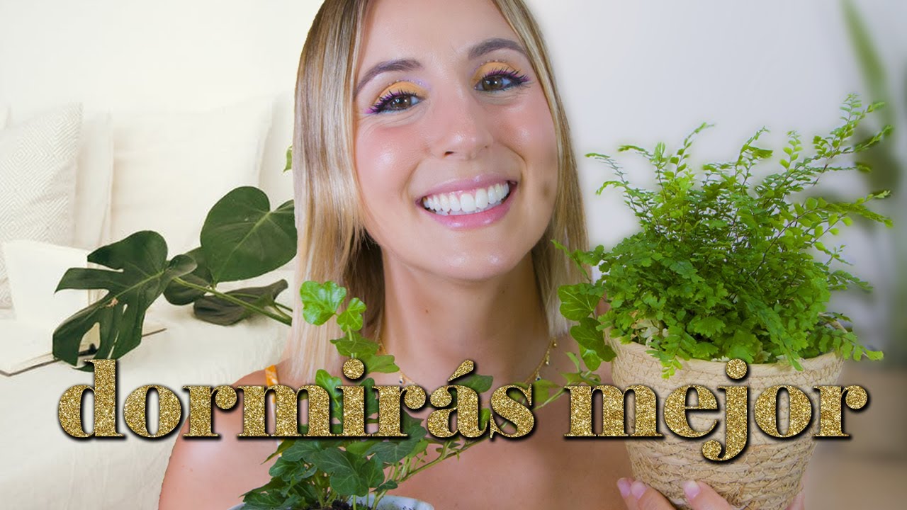 Con esto dormirás mejor. Plantas para dormitorios