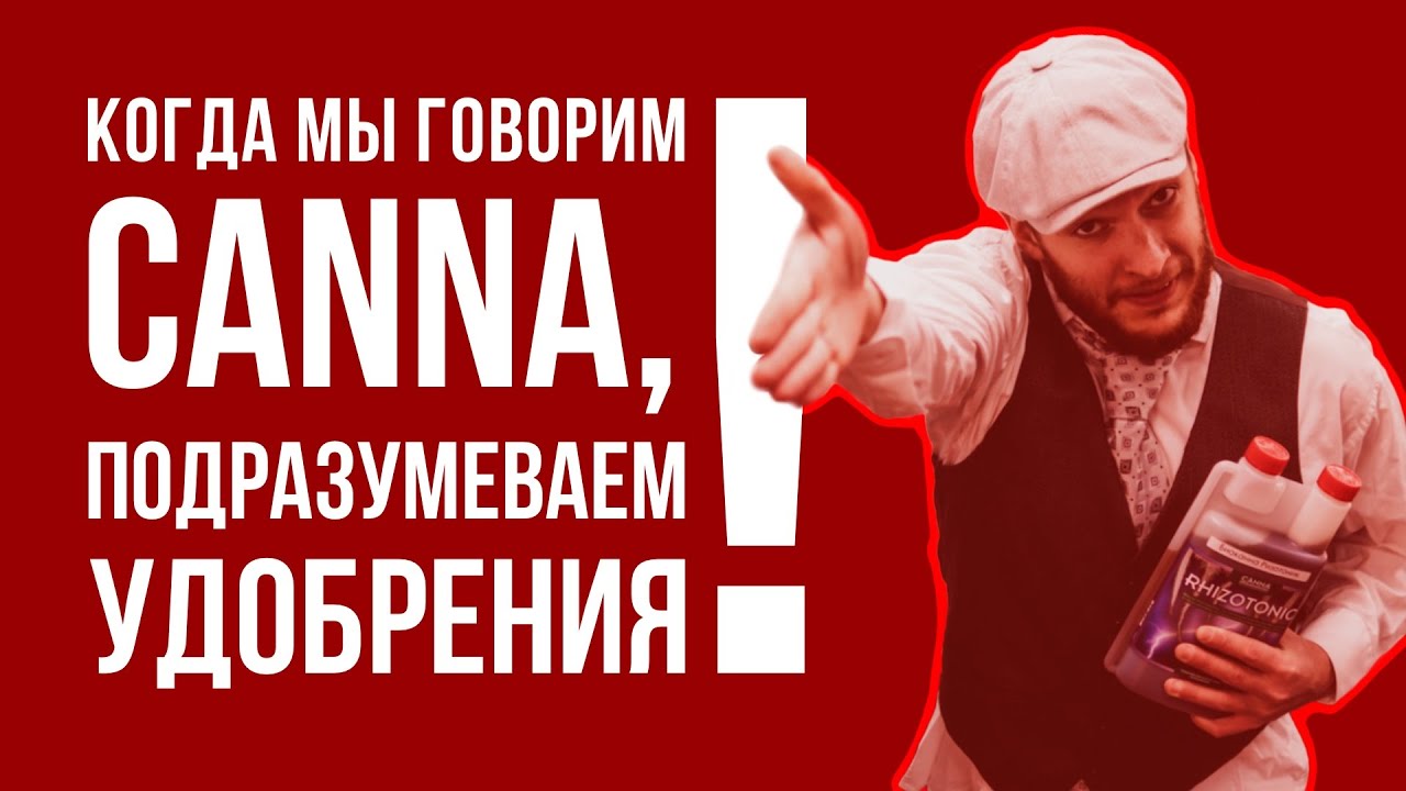 Когда мы говорим 