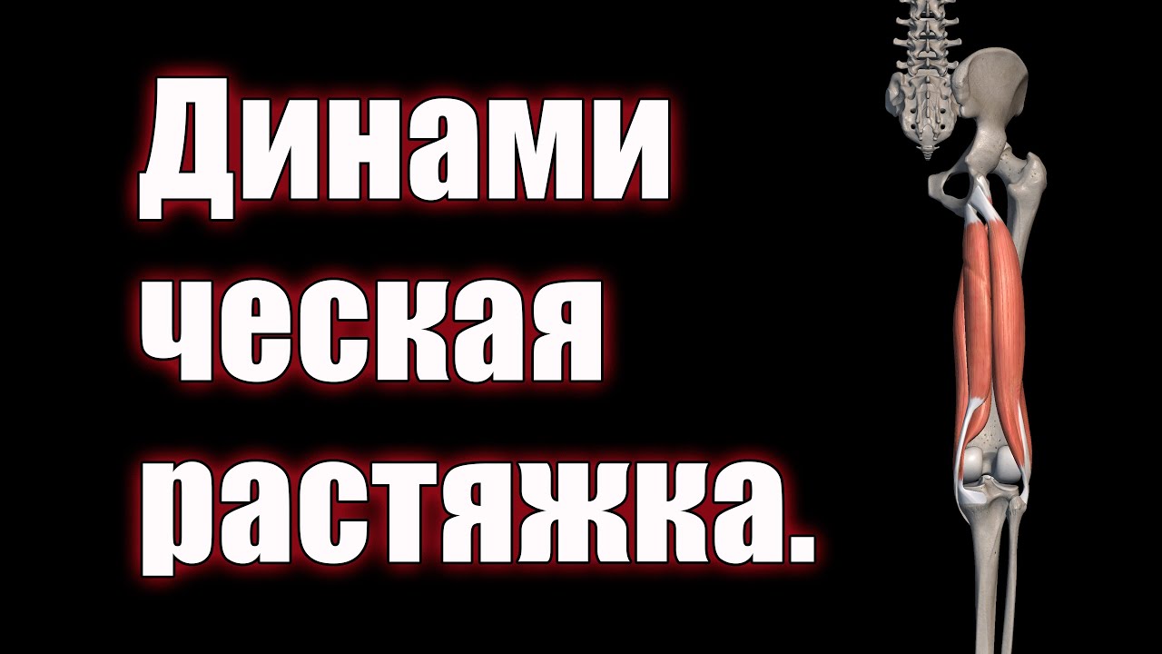 Динамическая растяжка задней поверхности бедра